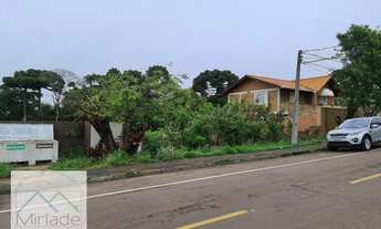 Imagem 4: Terreno em local alto no Jardim Paulista