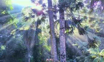 Imagem 1: Casa em Campos do Jordão