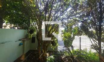 Imagem 5: Casa para Aluguel - Taquaral, 3 Quartos, 176 m2