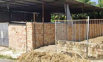 Imagem 3: Galpão prox. Av. Torres 317m2 com Terreno 24X25(600m2