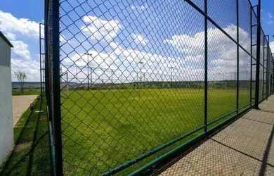 Imagem 3: Terreno Terras Alpha