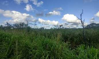 Imagem 7: Terreno à venda, 12000 m² por R$ 1.700.000,00 - Ratones - Florianópolis/SC