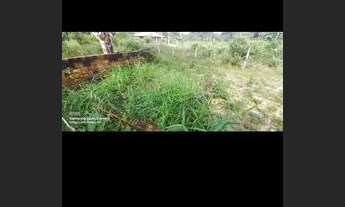 Imagem: Terreno em Mosqueiro