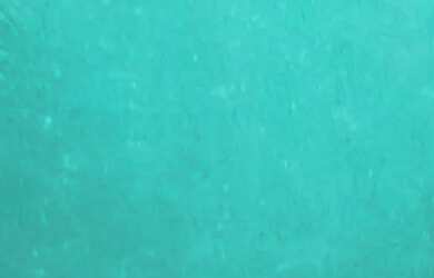 Imagem 3: Alugo apartamento 2/4 com garagem