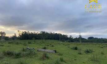 Imagem 7: Sítio de 8000me sem benfeitorias