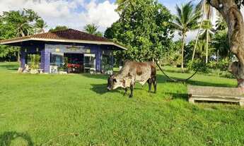 Imagem 4: Fazenda em Maragogipe com Píer