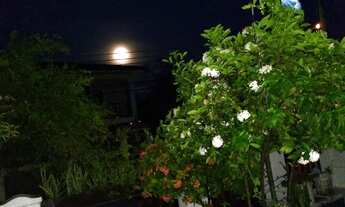 Imagem: Ilha Paqueta, Rj apto quarto/sala