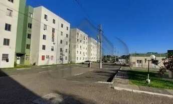 Imagem 6: Apartamento para Venda - 39m², 2 dormitórios, 1 vaga - Restinga