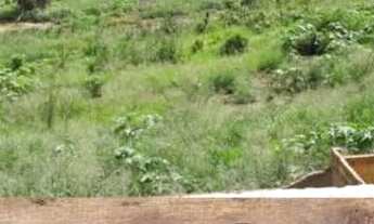 Imagem: Casa para ALUGAR E VENDER possui 90 metros