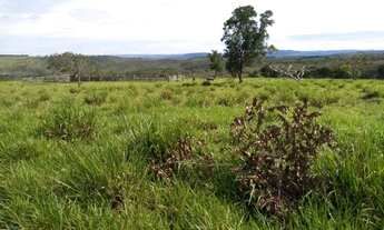 Imagem 2: Fazenda em claraval