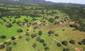 Imagem 2: Fazenda de 575 Alqueires em Uirapuru-GO