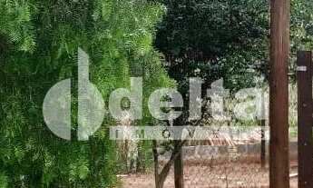 Imagem 3: Chácara disponível para venda no Chácaras Douradinho em Uberlândia-MG