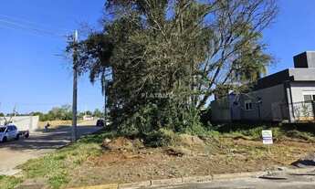 Imagem 3: Imóvel no Jardim do Alto, Ivoti