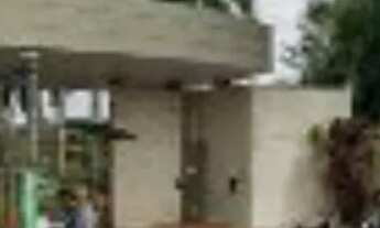 Imagem: Vale das araucarias