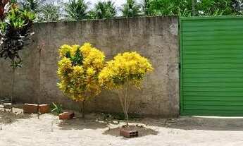 Imagem: Venda de sítio em acajuitiba ba - excelente