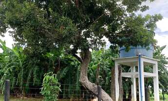 Imagem 4: Fazenda 52 alqueires, Uruaçu-Go