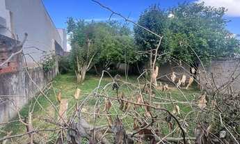 Imagem 6: Dois terrenos para venda