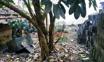 Imagem 4: Terreno à venda, 211 m² por R$ 760.000,00 - Vila Matilde - São Paulo/SP