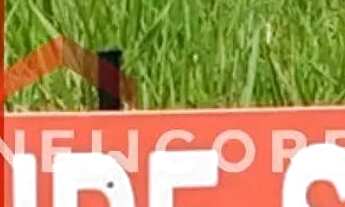 Imagem: Lote em Rua José Luiz Fernandes - Terramérica