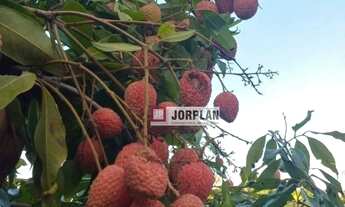 Imagem 4: Fazenda com 2 dormitórios à venda, 480000 m² por R$ 2.350.000,00 - Santo Antonio - Carmo/R