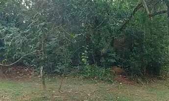 Imagem 2: Terreno à venda, 1040 m² por R$ 450.000,00 - Granja Viana - Jandira/SP