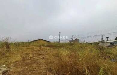 Imagem 2: ÁREA COMERCIA NO BAIRRO JAMIL MIGUEL