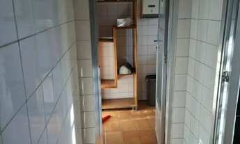 Imagem 3: Galpão, Vila Galvão - Guarulhos