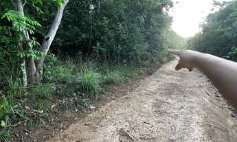 Imagem 3: Lote chapada dos Veadeiros