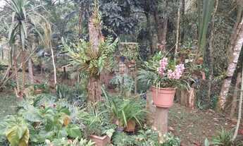 Imagem 4: Chácara com 2 dormitórios à venda, 3875 m² - Estância São Sebastião - Jarinu/SP