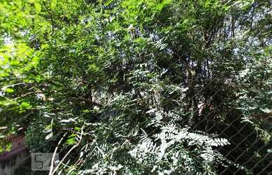 Imagem 4: Apartamento à Venda - Alto da Lapa, 2 Quartos, 50 m2