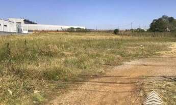 Imagem 6: Terreno à venda, 10000 m² por R$ 5.500.000,00 - Eucaliptos - Fazenda Rio Grande/PR