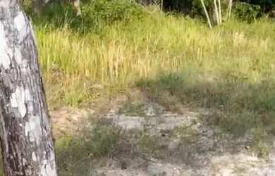 Imagem 4: Vendo terreno em área de praia