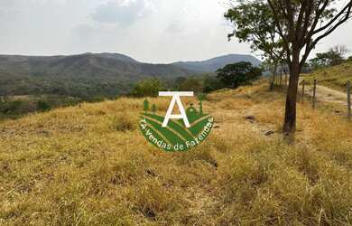 Imagem 6: Fazenda de 17 alq em Goias-GO