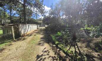 Imagem 5: Chacara em Bocaiuva do Sul