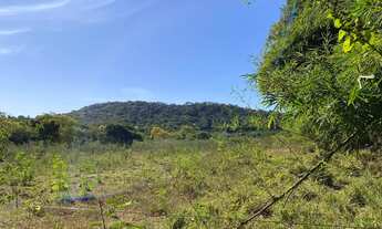 Imagem 6: Chácara de 3.900 mt em trindade com Ribeirão oportunidade!