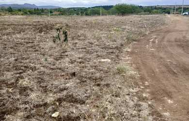 Imagem 4: Lotes 17X40 na beira do Rio Paraguaçu em Iaçu-Ba