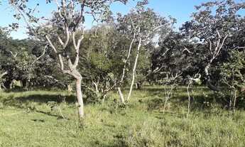 Imagem 5: Terreno/lote/chácara