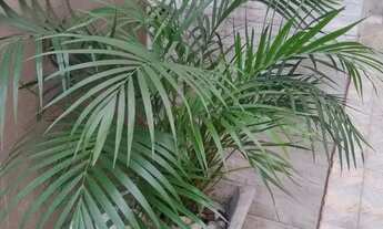 Imagem 2: Alugo casa Casa com 1 dormitório