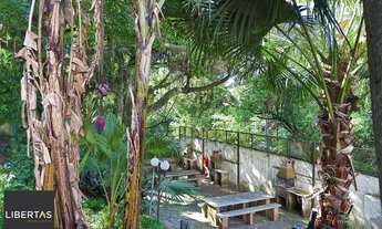 Imagem 6: Apartamento 2 dormitórios à venda Teresópolis Porto Alegre/RS