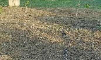 Imagem 2: TERRENO PARA CHÁCARA R$ 70000