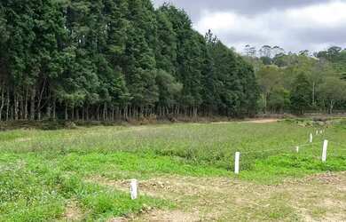 Imagem 4: SEU TERRENO EM CAUCAIA DO ALTO-COTIA/SP!