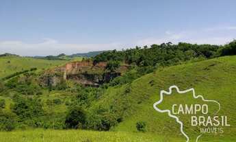 Imagem 2: Lindo sítio formado, com casa boa de 4 dormitórios