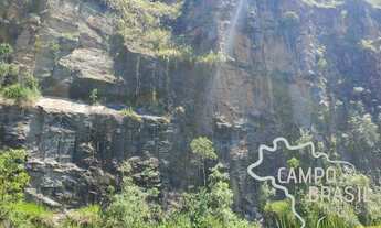 Imagem 6: Lindo sítio formado, com casa boa de 4 dormitórios