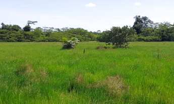 Imagem 7: Vendo Fazenda em Rorainópolis, Roraima