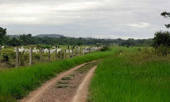 Imagem: Vendo Fazenda em Rorainópolis, Roraima