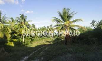 Imagem 4: Subaúma | Terren para Venda