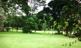 Imagem 5: Fazenda (altamente produtiva) - Silva Jardim