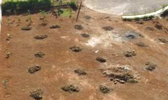 Imagem 3: Vendo 2 lotes recanto paraíso