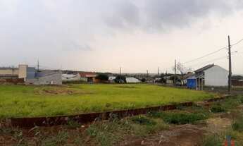 Imagem 7: MARINGÁ - TERRENO PADRÃO - CAMPO BELO