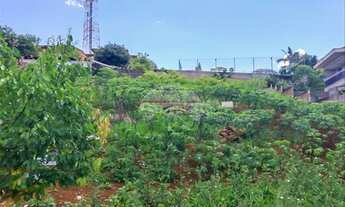 Imagem 4: Vendas Terreno Pato Branco PR